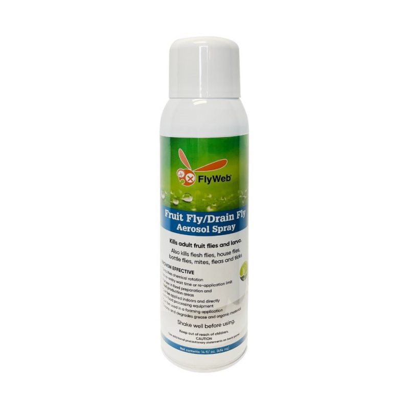 FlyWeb Fruit Fly Drain Fly Aerosol Spray 14 fl oz