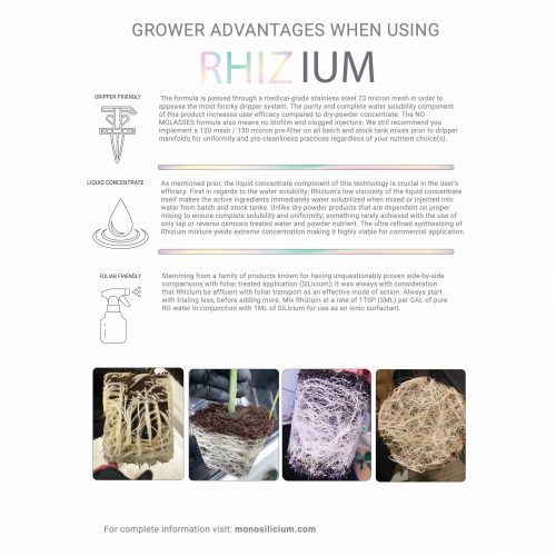 Rhizium Product Info Sheet 2