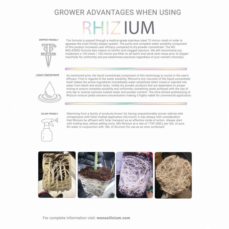 Rhizium Product Info Sheet 2