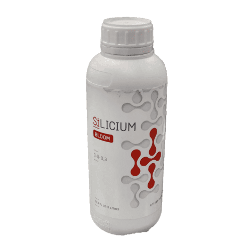 SiLicium Bloom 1 liter bottle