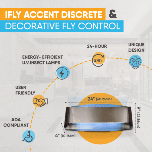 iFly Accent info slide 7