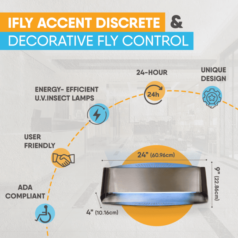 iFly Accent info slide 7